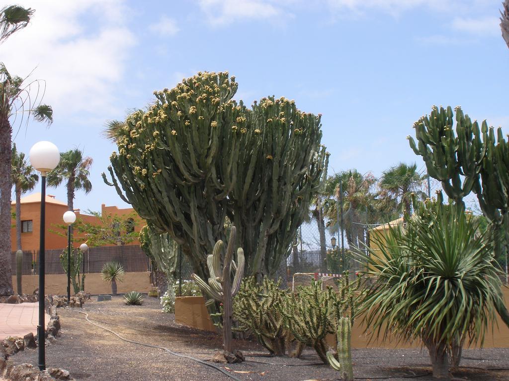 קורלחו Apartamento Oasis Dunas מראה חיצוני תמונה